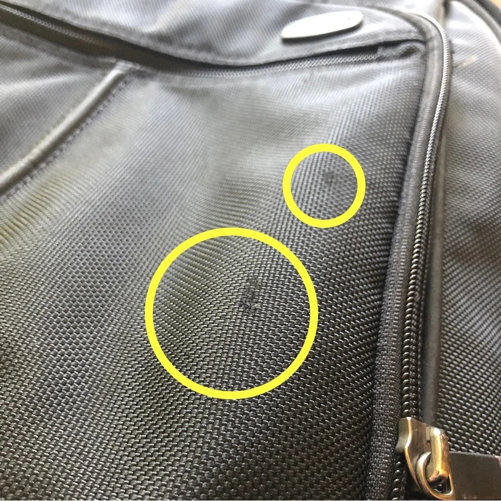 Laptop Backpack by Victorinox